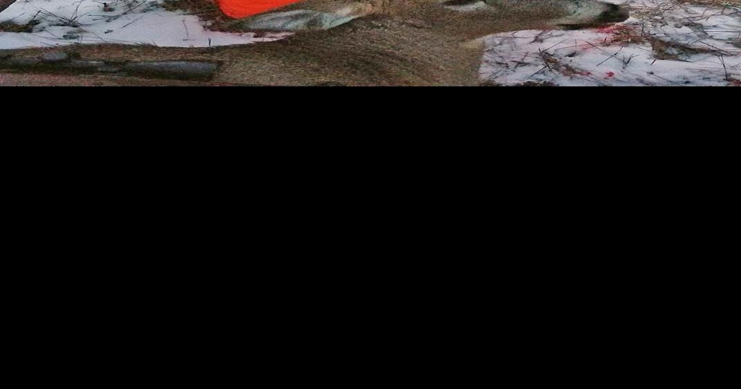 Opening weekend deer hunting success News