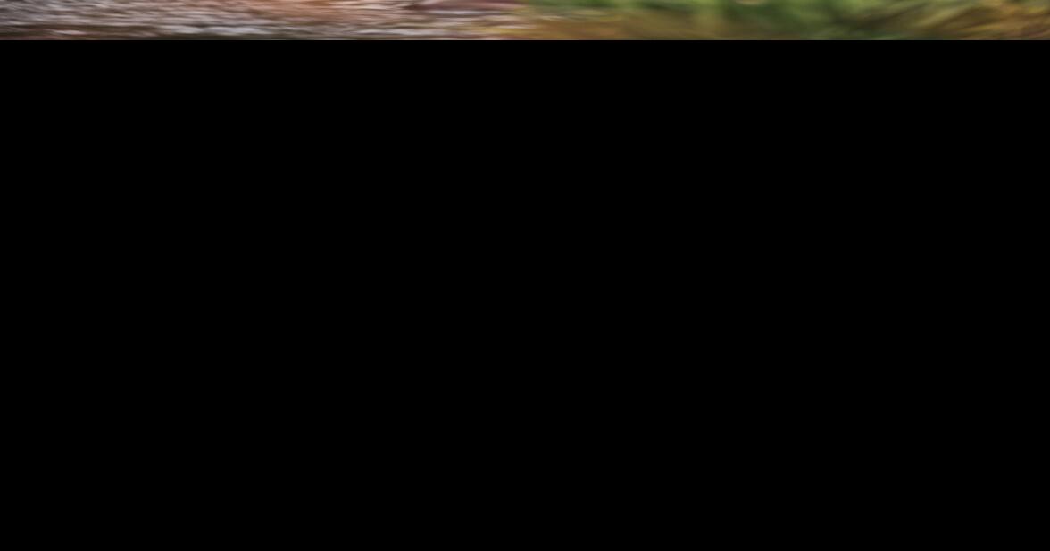 FlyFishing Casts A Wider Net Outdoors