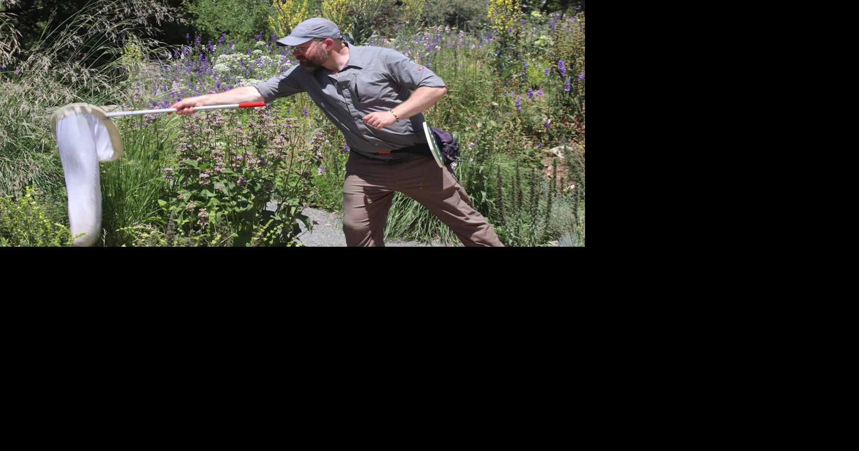 How to play a part in protecting pollinators around Denver | Archives ...