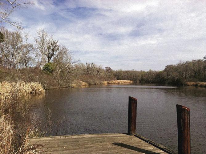 Altama Plantation conservation underway Local News