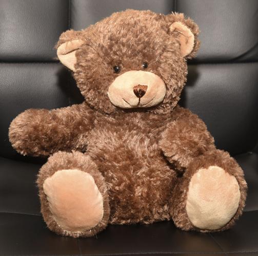 011117_teddy bear 2