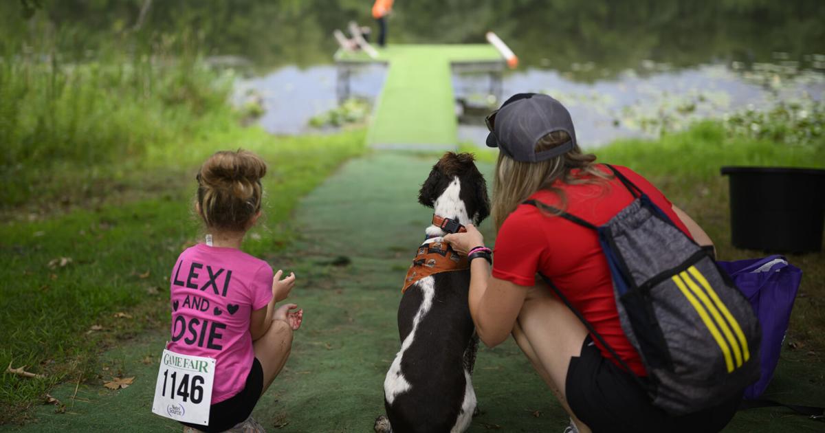 Lexi Loge, 6, her Springer Spaniel, Rosie, and mother Lisa, from Glenwood City, Wisconsin, prepare to release Rosie for a retrieving activity on Aug. 7, 2026, at Game Fair in Ramsey, Minnesota.