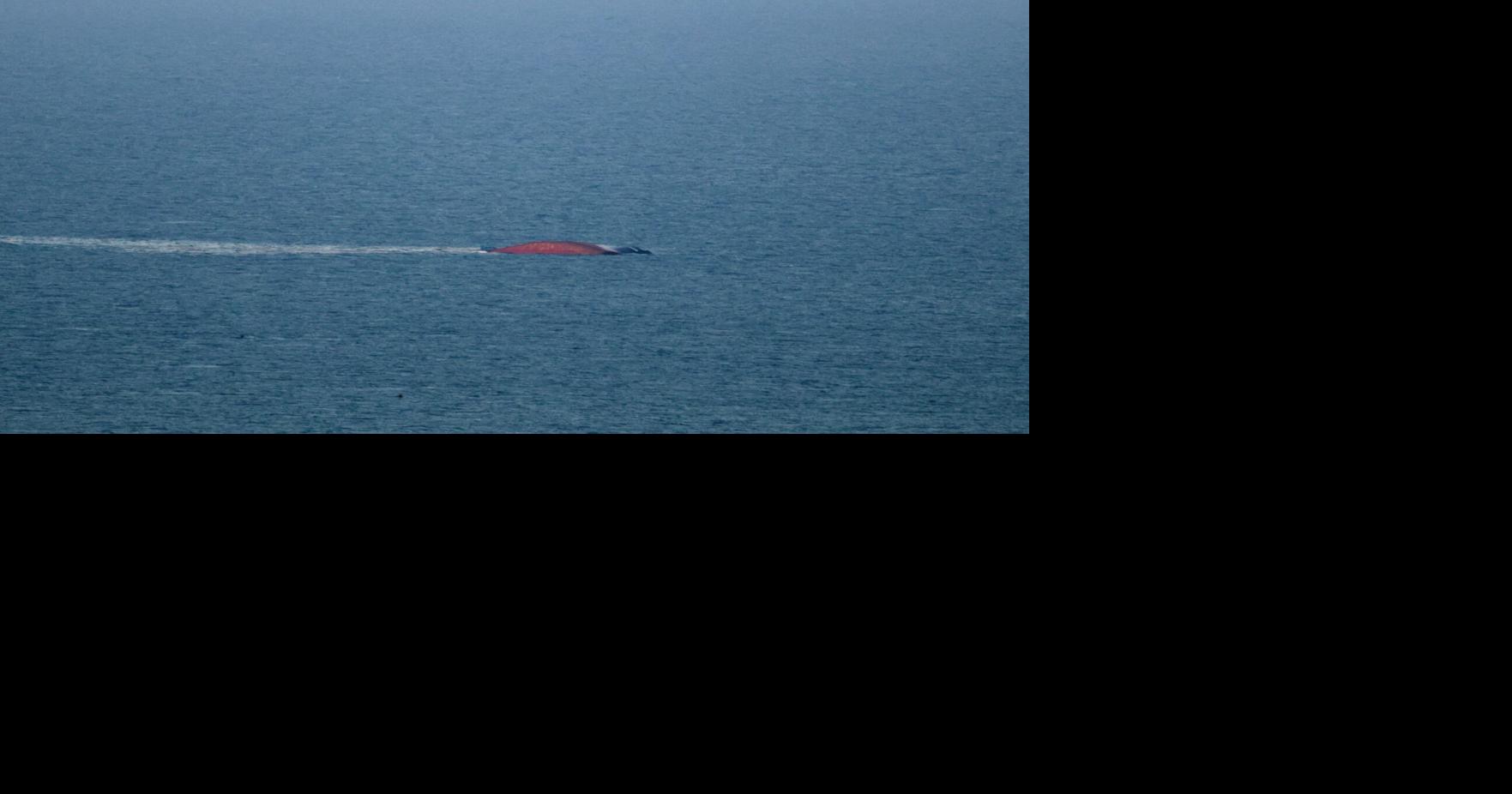 The other Hormuz: Black Sea blockade threatens a food supply shock Ben Westcott, Pyotr Kozlov and Abdel Latif Wahba, Bloomberg News Sep 20, 2026 46 mins ago