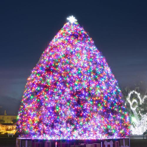 Holly Jolly Jekyll brings month of festivity to island Local News