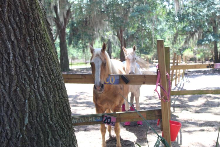 Farm at Oatland carries on mission Life