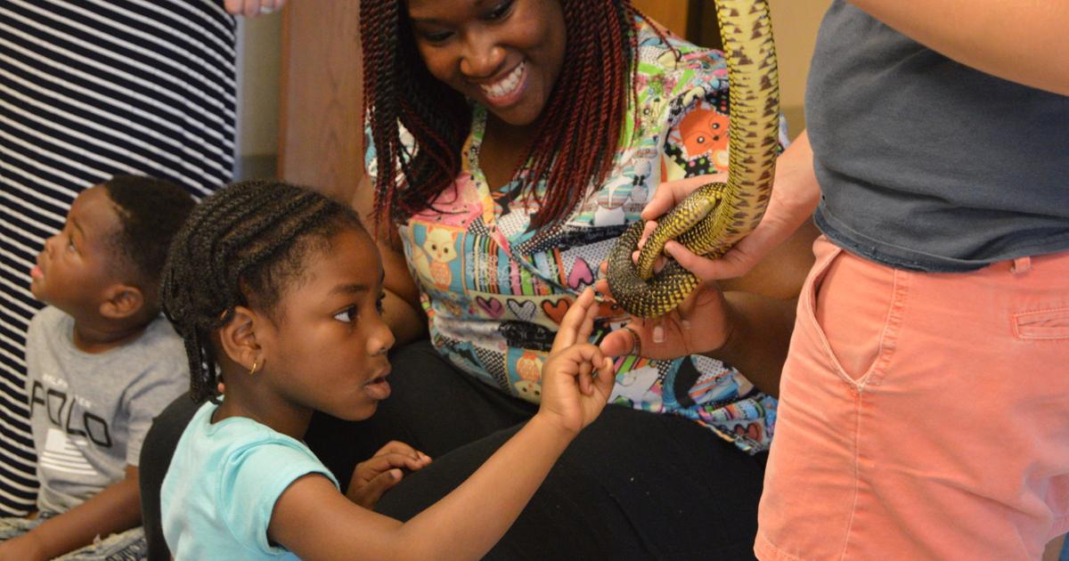 BCA summer camp brings in ocean education Local News