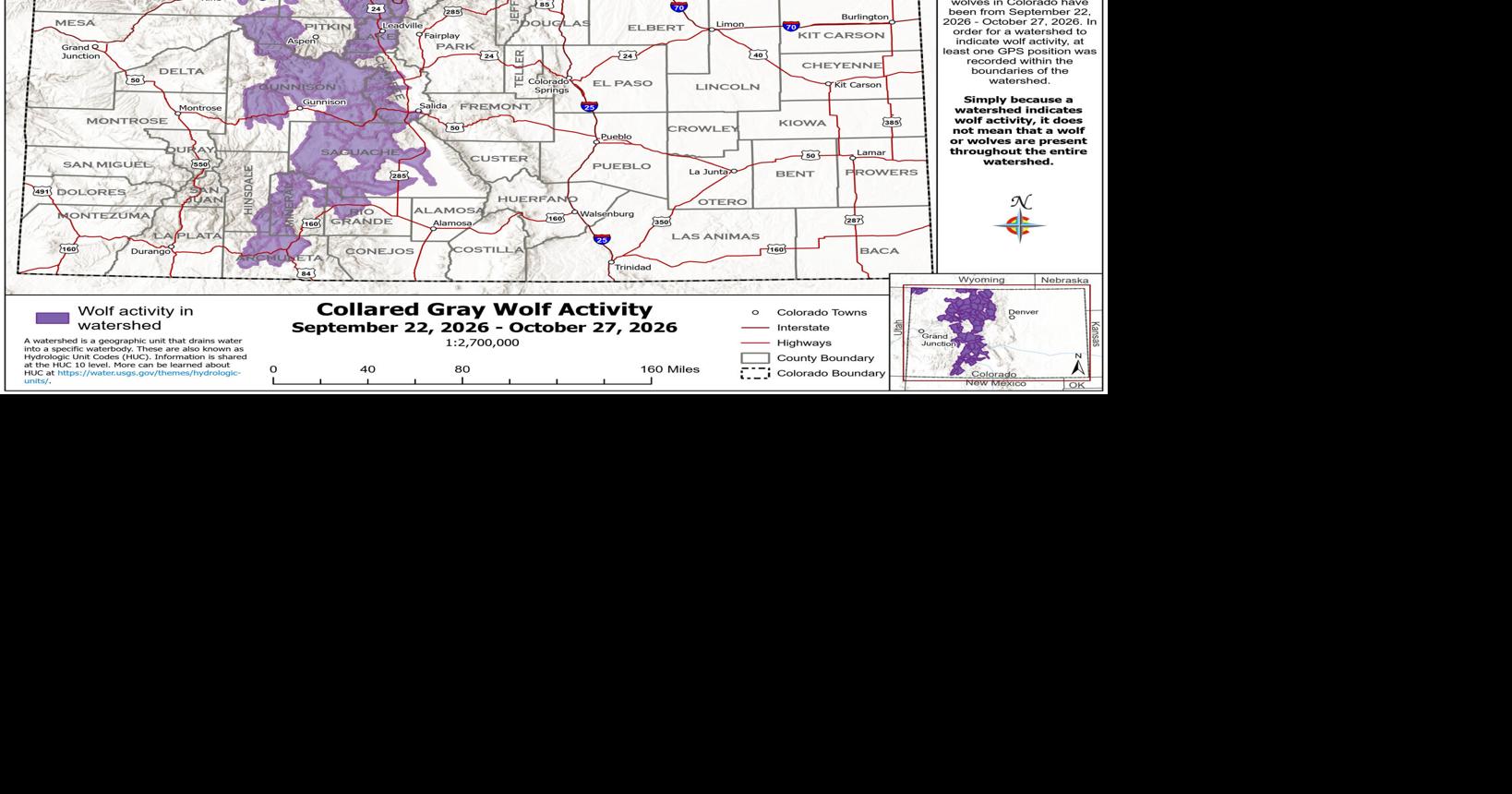 New map shows where Colorado's wolves traveled in the past month Elise Schmelzer, The Denver Post Oct 28, 2026 1 hr ago