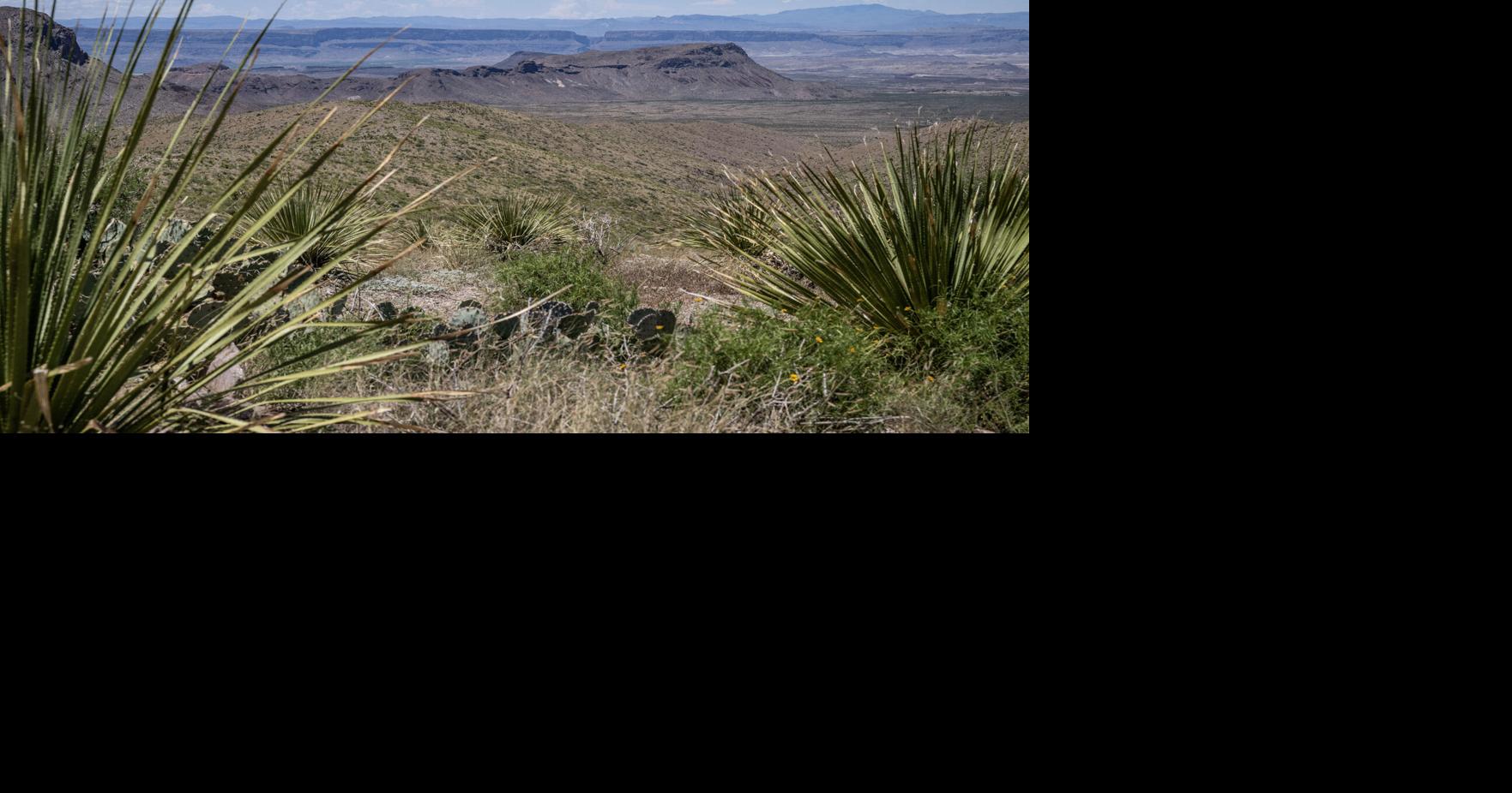 Trump's DHS asks Supreme Court to allow border wall in Big Bend Greg Stohr, Bloomberg News Oct 21, 2026 27 mins ago
