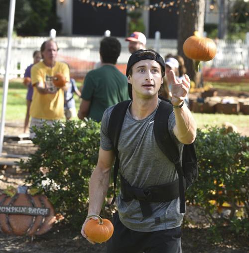 pumpkin patch