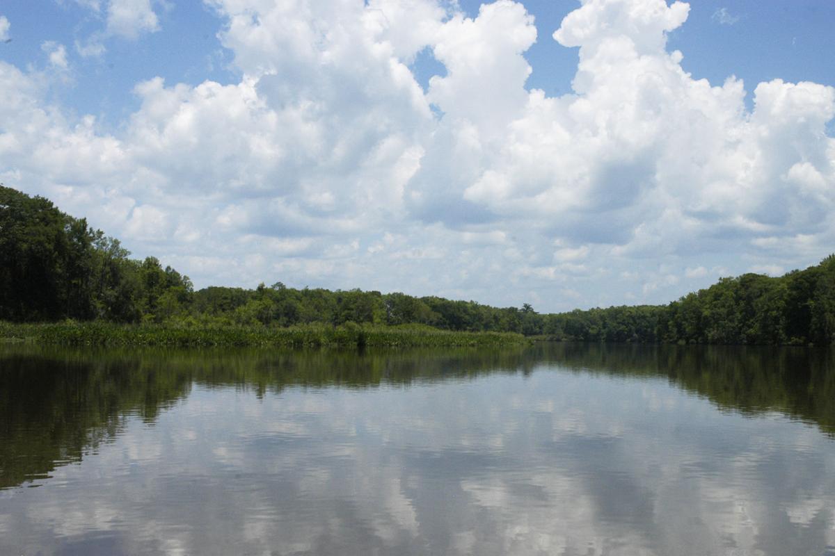 Altamaha River the lifeblood of coast Local News The