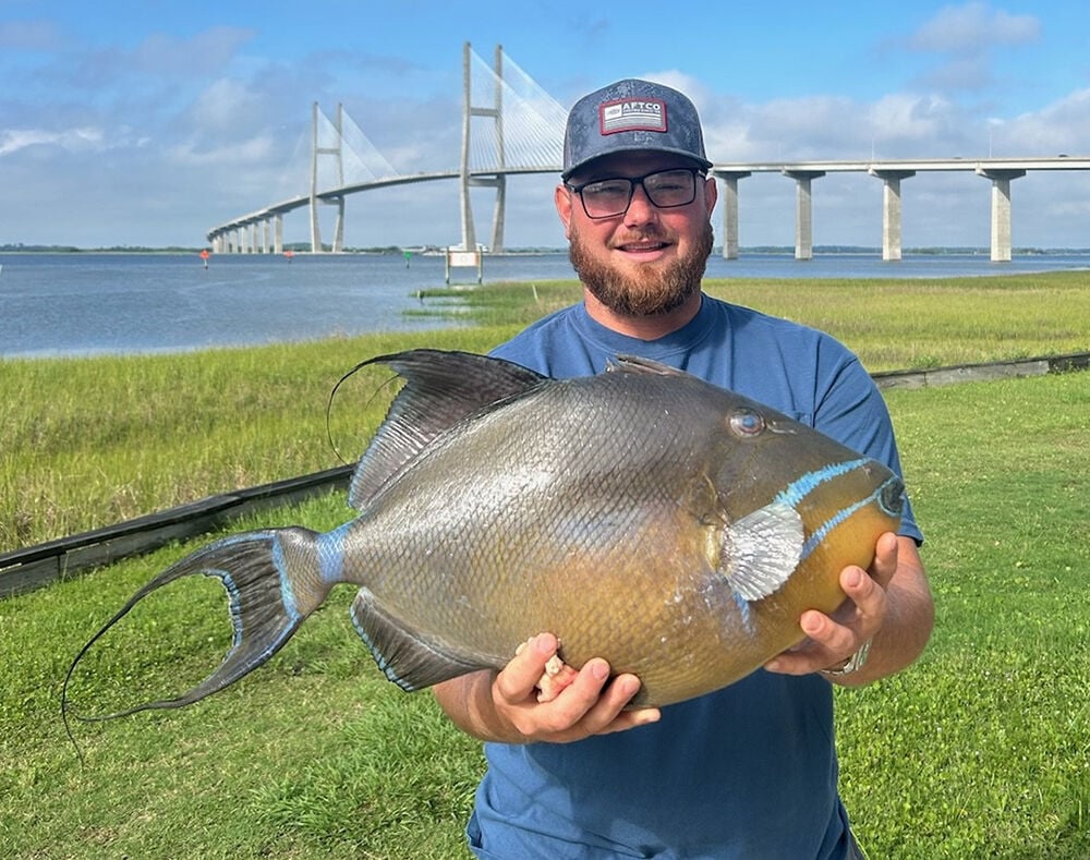 Brunswick man sets new triggerfish state record | Local News |  thebrunswicknews.com