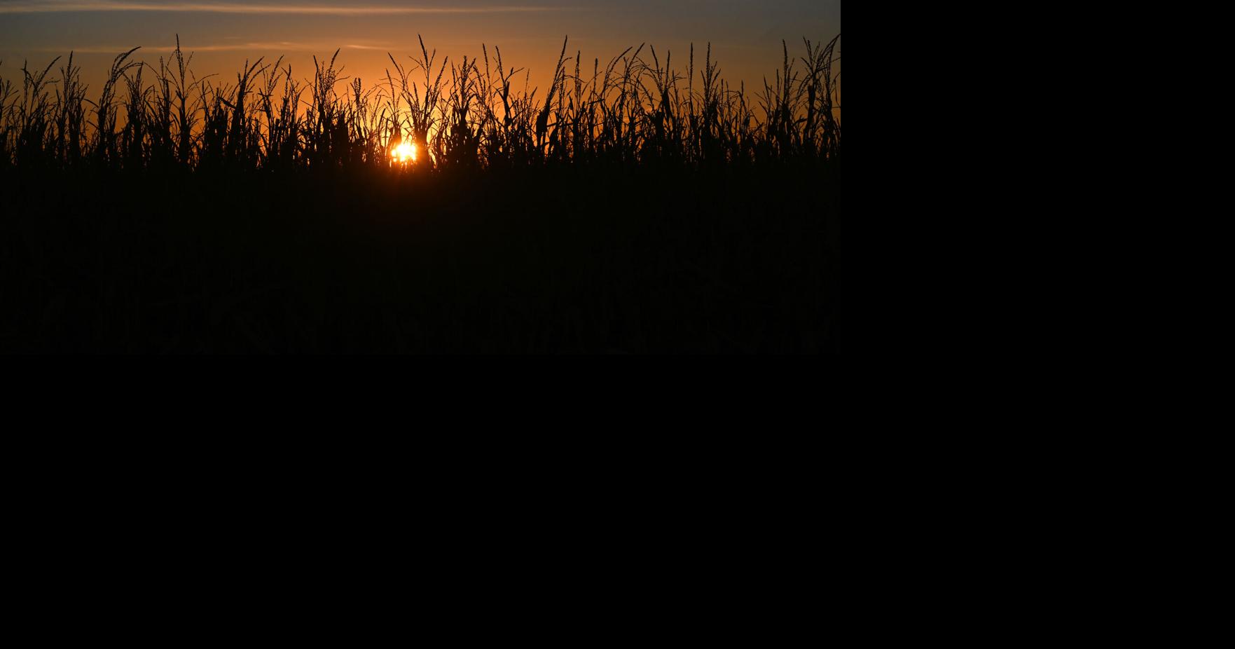 Hottest summer on record roasts Colorado, world, data shows Lauren Penington, The Denver Post Sep 10, 2026 42 mins ago