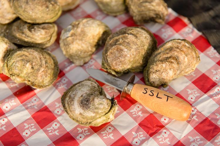 Annual land trust oyster roast returns for 24th year Life