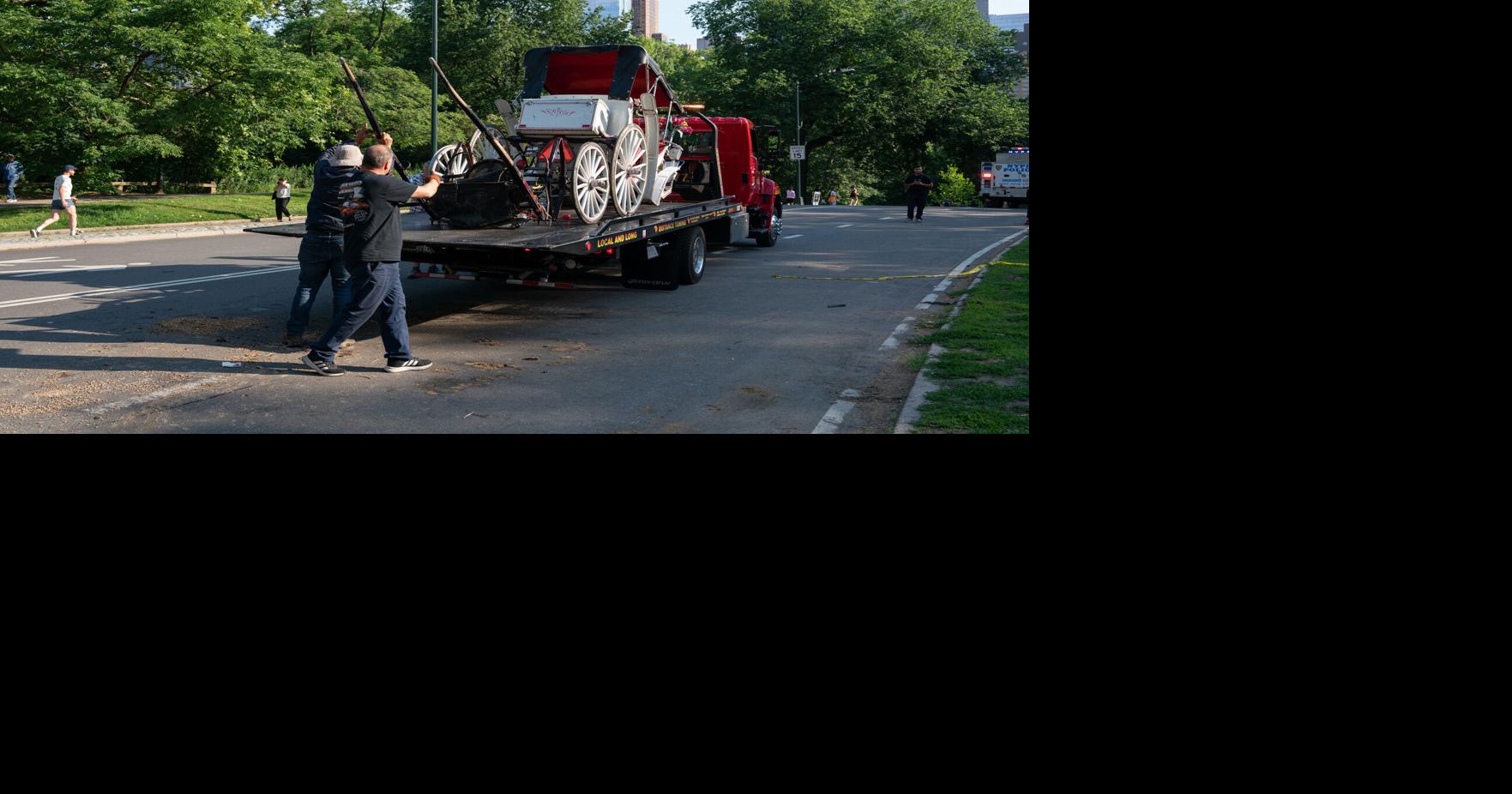 Teenage tourist dies as horse-drawn carriage overturns in NYC's Central Park Rocco Parascandola, Colin Mixson and Evan Simko-Bednarski and Kerry Burke, New York Daily News Jun 17, 2026 41 mins ago