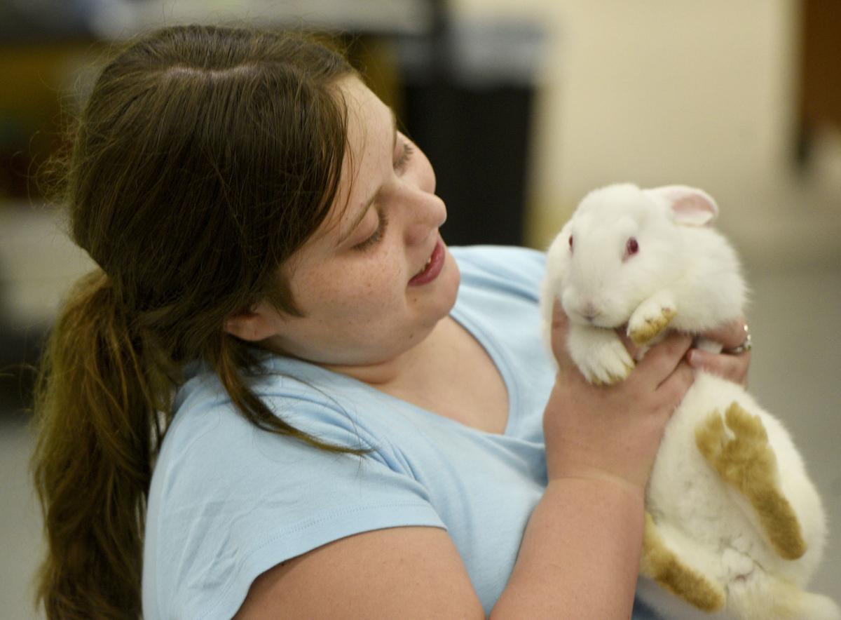 Campers Explore Vet Science At Career Academy Local News The