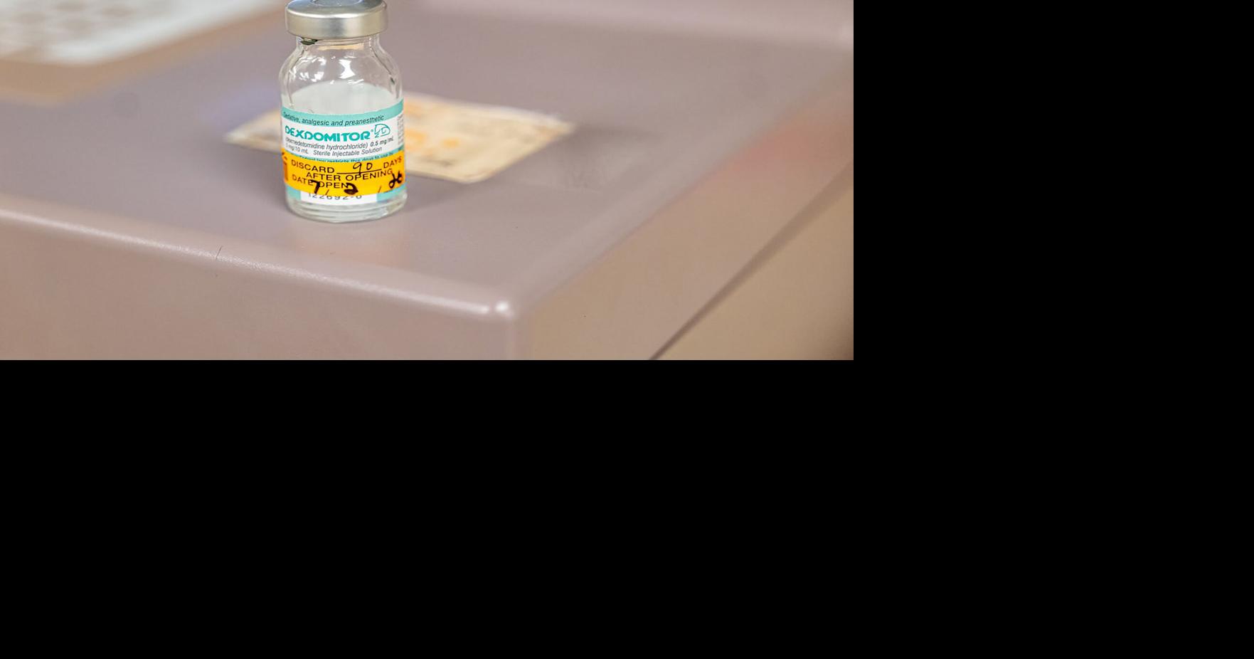 Vials of the veterinary sedative medetomidine are displayed inside the University of Minnesota Veterinary Medical Center in St. Paul, Minnesota, on Thursday, July 9, 2026.