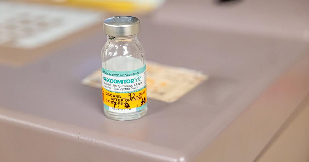 Vials of the veterinary sedative medetomidine are displayed inside the University of Minnesota Veterinary Medical Center in St. Paul, Minnesota, on Thursday, July 9, 2026.