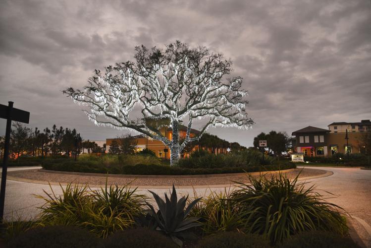 Jekyll Island Christmas lights Gallery