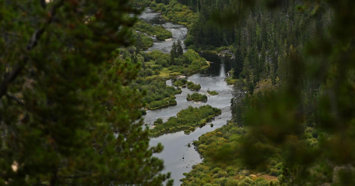 The Colorado River flows near Granby, Colorado, on Sept. 4, 2024.