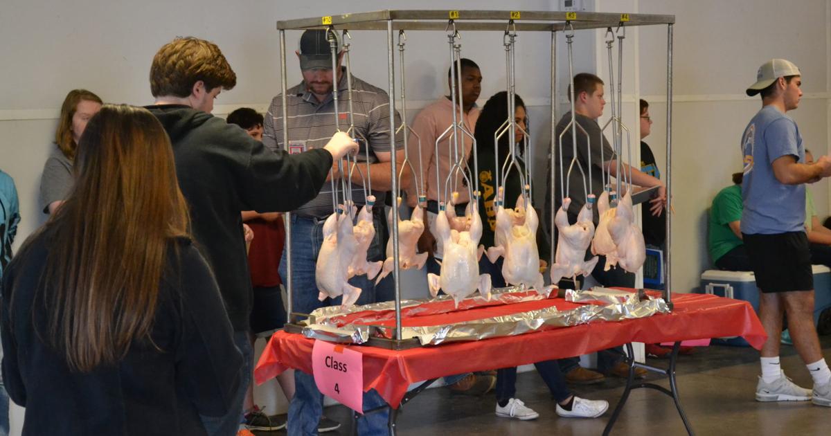 Ffa Animals FFA team participates in first poultry evaluation competition | Local ...