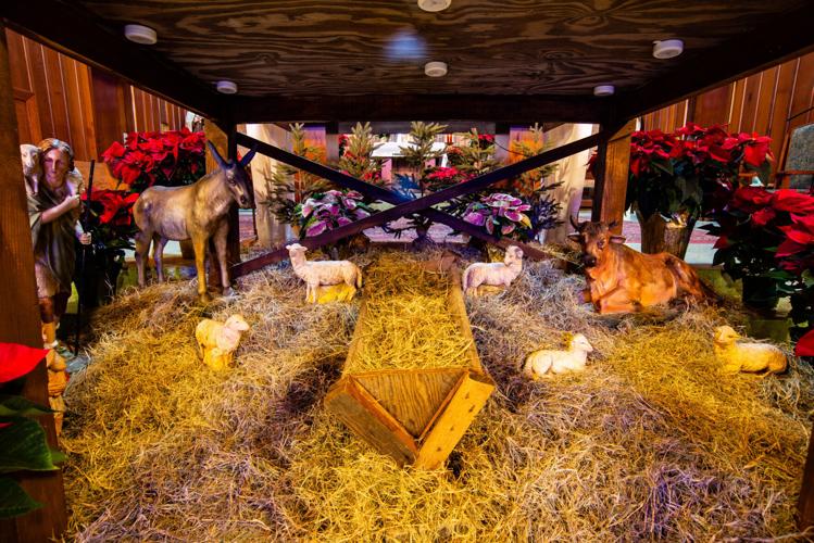 What Does The Christmas Story Mean To Us Today Life what-does-the-christmas-story-mean-to-us-today-life