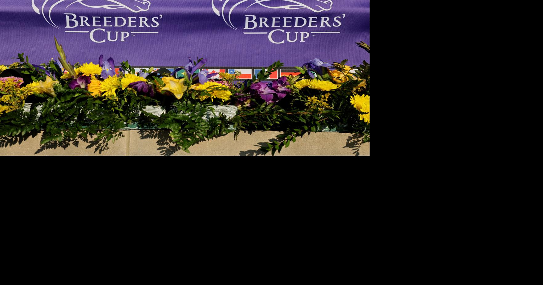 How much money will the winners of the biggest Breeders' Cup races receive? Christopher Leach, Lexington Herald-Leader Oct 29, 2026 11 mins ago