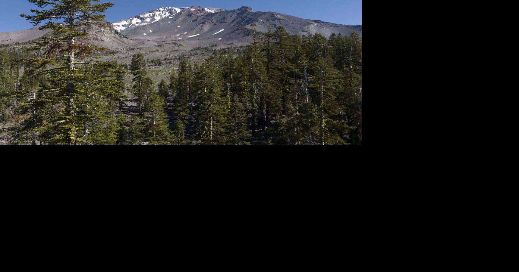 Father-son duo kidnapped US Forest Service workers, held them hostage, feds say Suhauna Hussain, Los Angeles Times Jul 20, 2026 52 mins ago