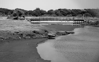 Terry Bogard Theory Craft Smash Amino