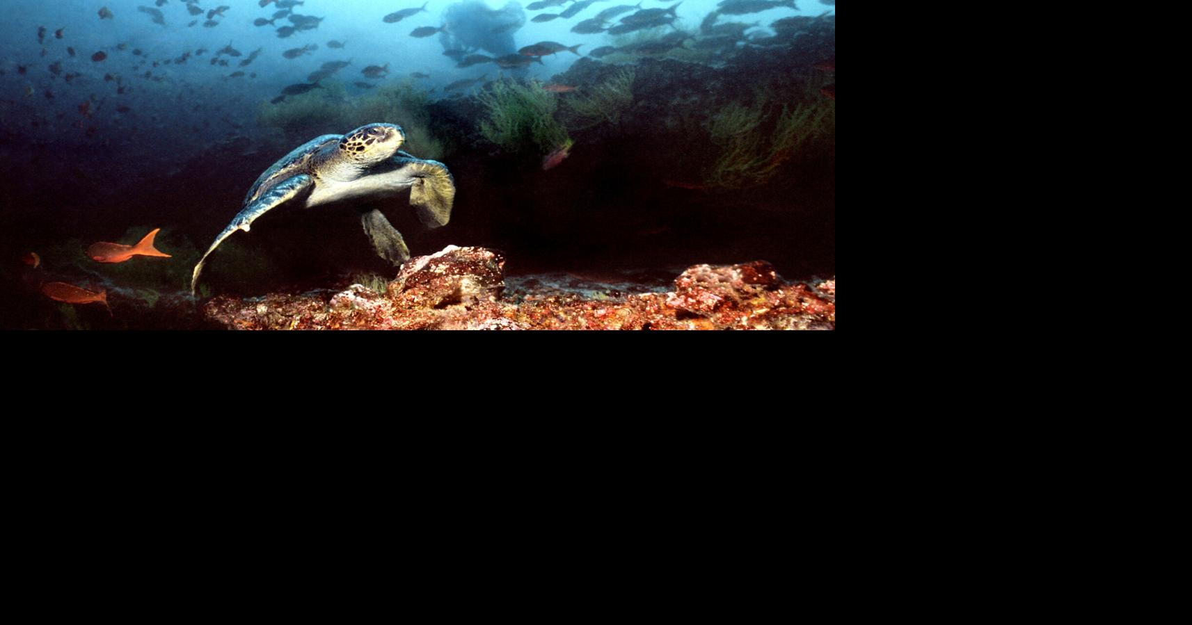 As world braces for ‘super' El Niño, research suggests global warming has increased its punch Hayley Smith, Los Angeles Times Sep 5, 2026 53 mins ago