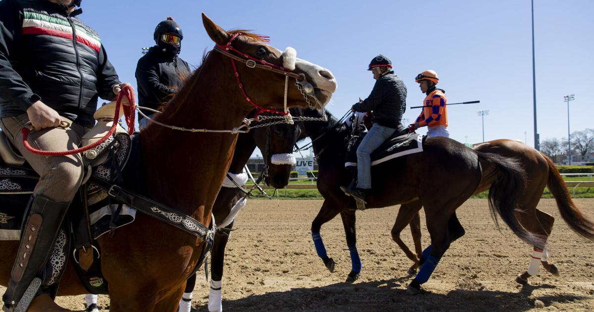 Bidder for Hawthorne Race Course expected to end horse racing unless another buyer steps in Robert McCoppin and Jeremy Gorner, Chicago Tribune Jun 27, 2026 1 hr ago
