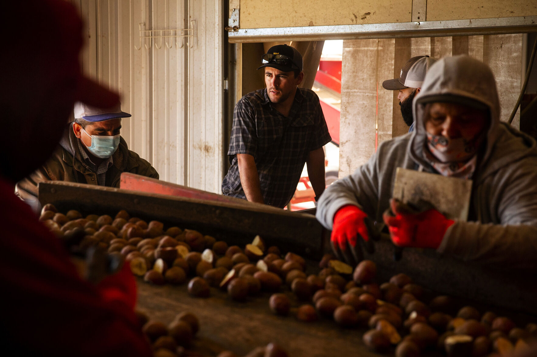 golden farms market