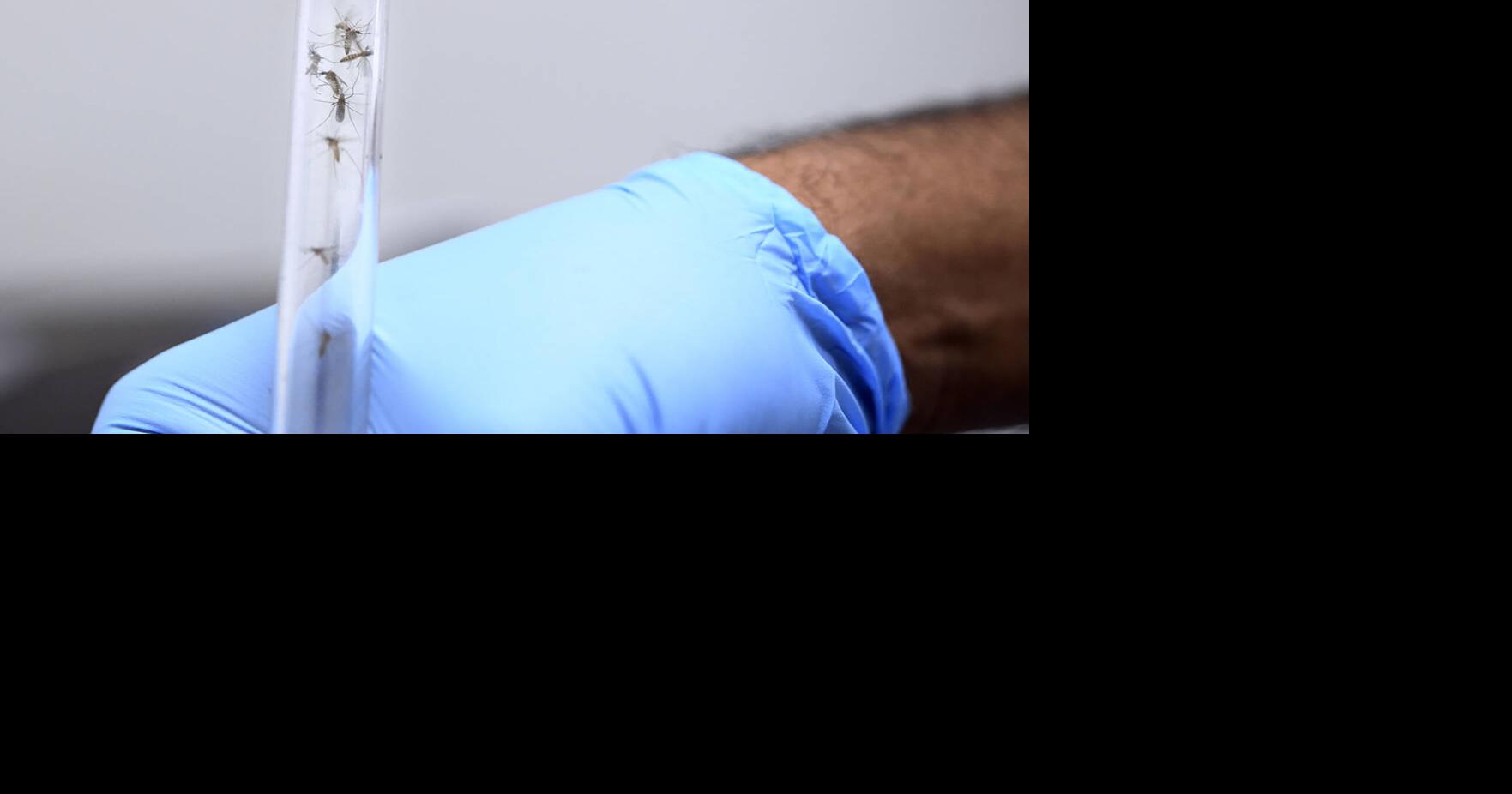 Las Vegas mosquitoes test positive for West Nile virus, health officials say Caitlin Lilly, Las Vegas Review-Journal Jun 24, 2026 1 hr ago