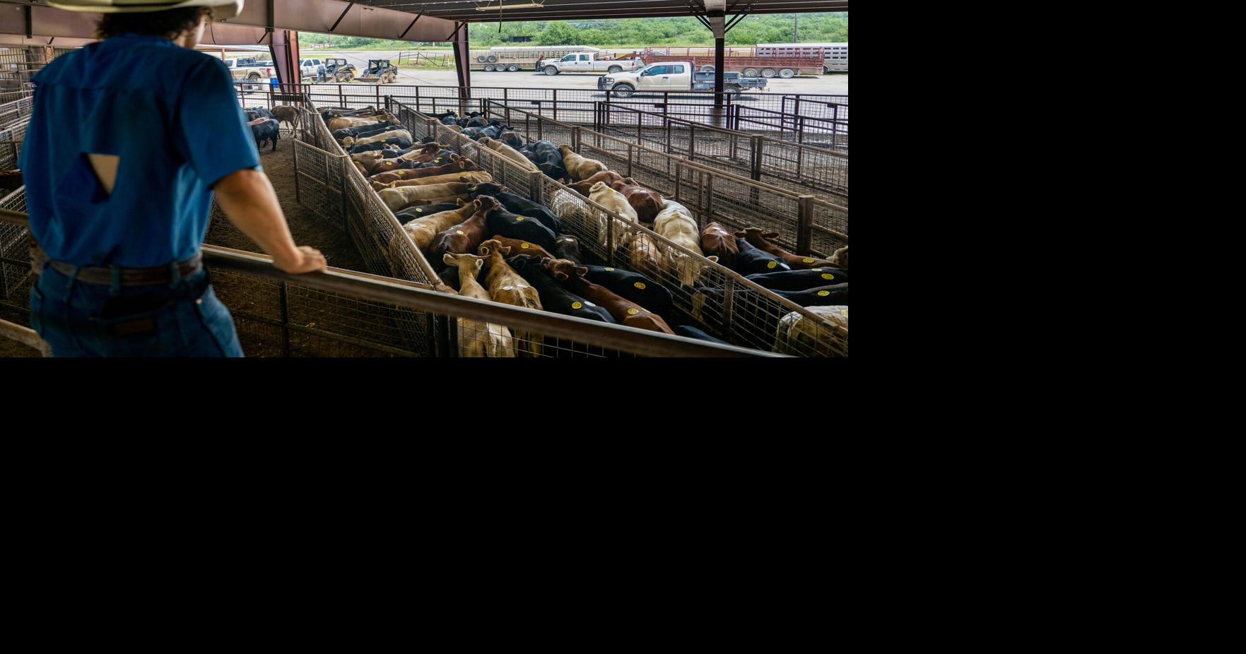 Trump announces plan to let farmers process their own food Courtney Subramanian, Bloomberg News Aug 28, 2026 1 hr ago