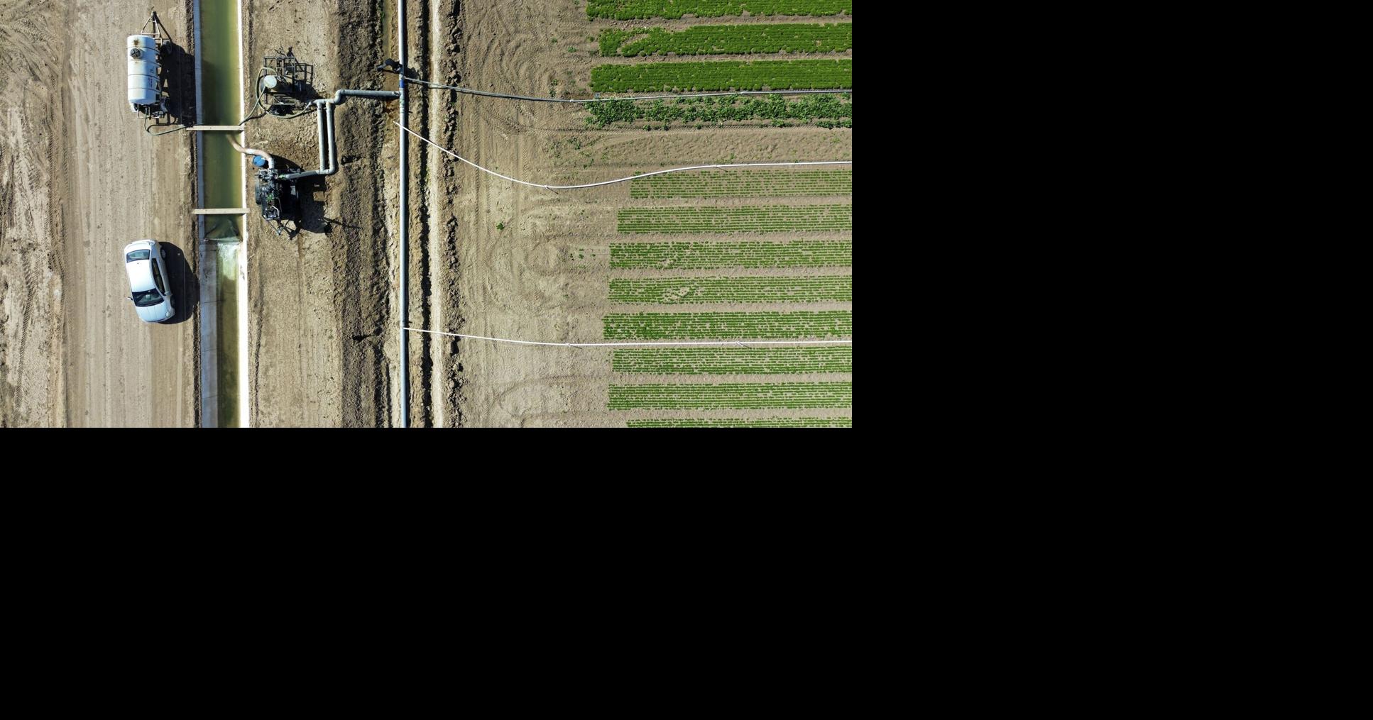 Adam Minter: Farmers can’t maintain hogging the water in parched Southwest | Nationwide Sports activities