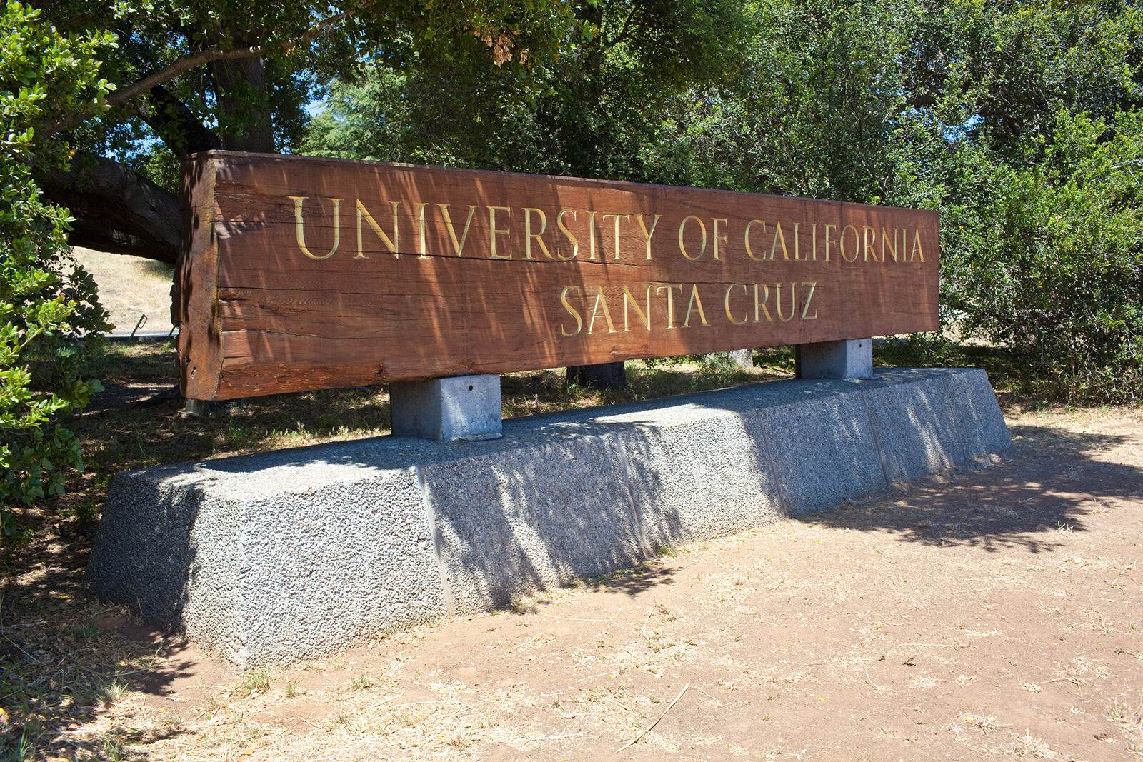 UC Santa Cruz condemns students on campus celebration of Hitler s