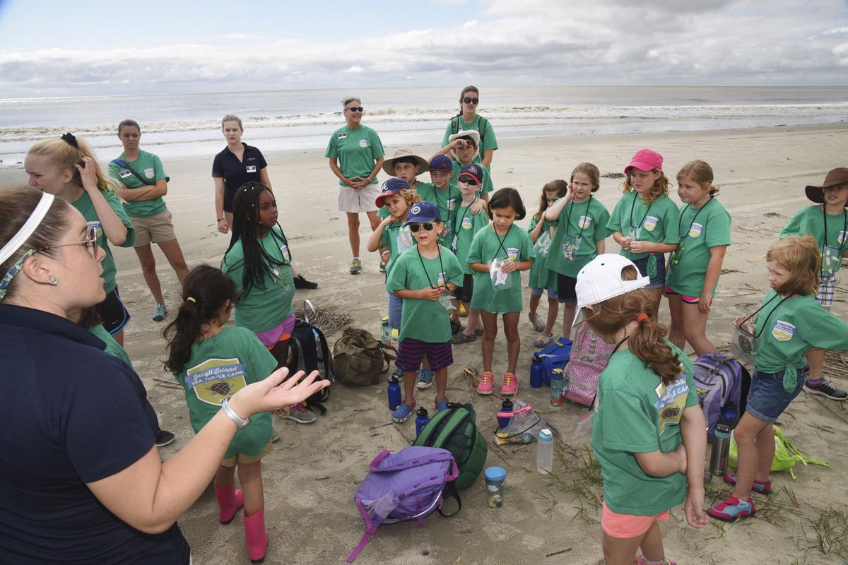 Sea Turtle Camp Educates Kids On Coastal Habitats Local News The Brunswick News