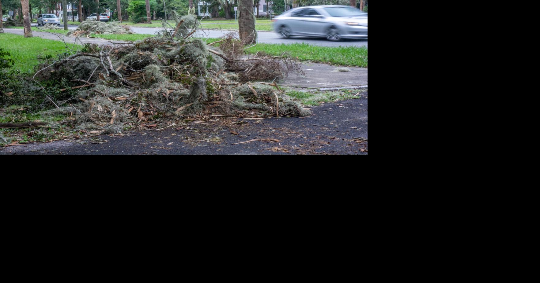 Storm debris pickup plans announced | Local News | thebrunswicknews.com