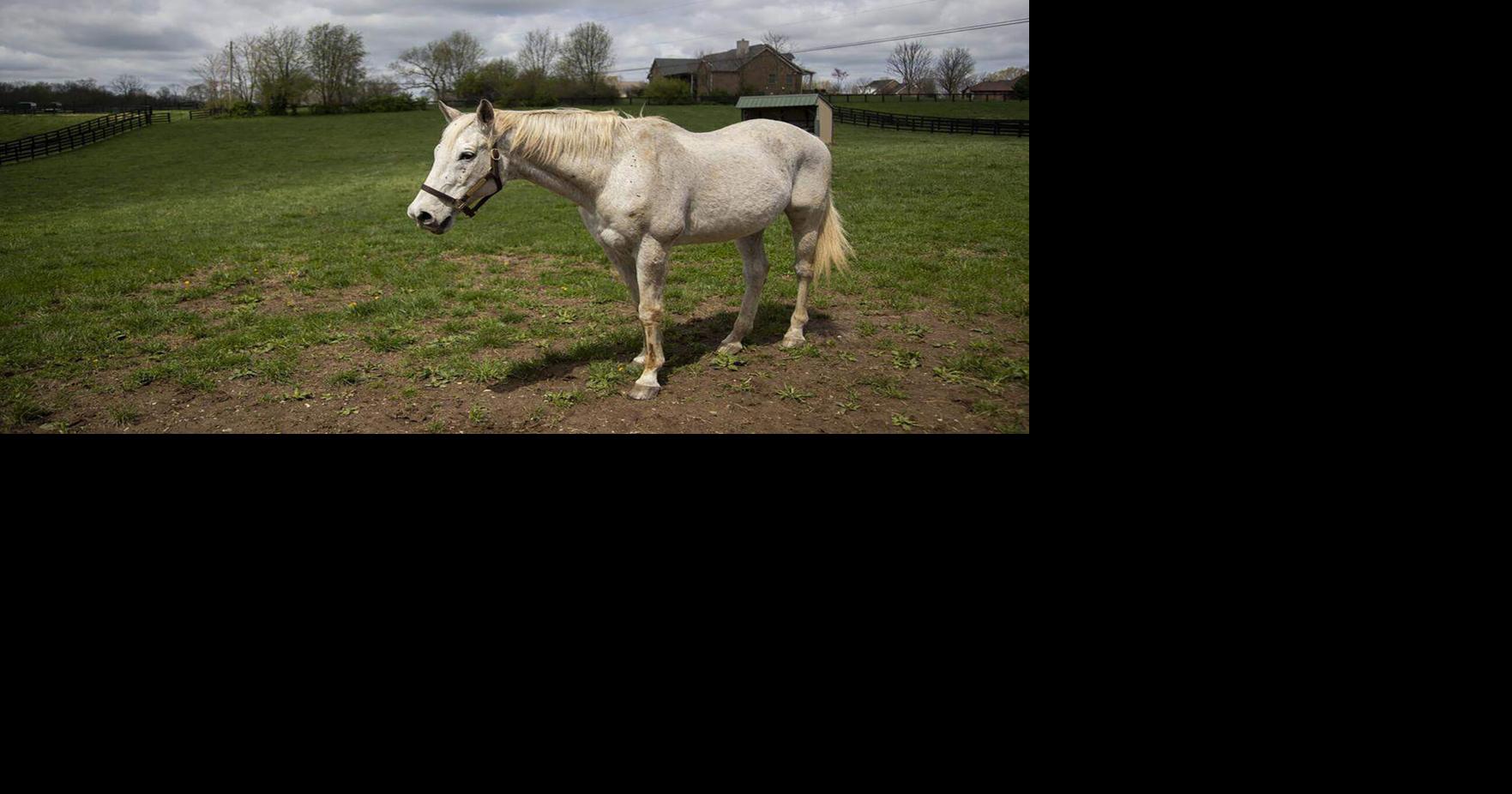 There are 21 living Kentucky Derby winners. Here’s where they all are now.
