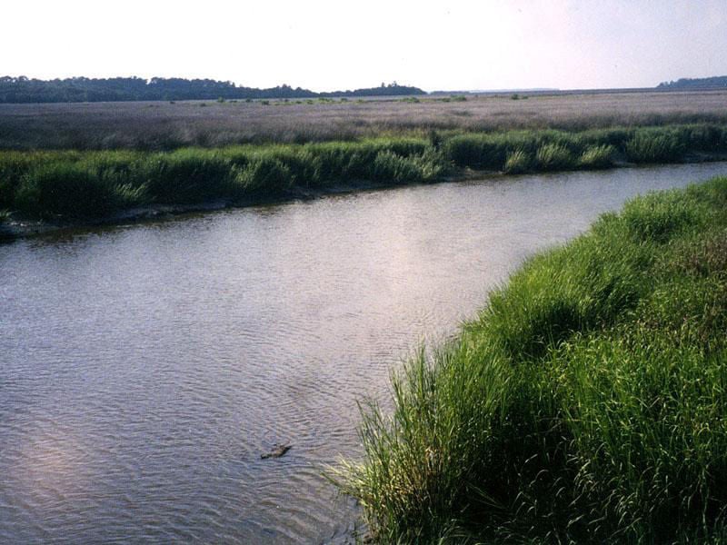 Image result for Dunbar Creek on St. Simons Island