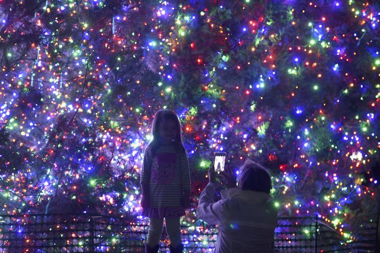 Jekyll Island Christmas lights Gallery