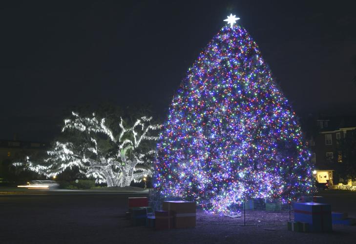 Jekyll Island Christmas lights Gallery