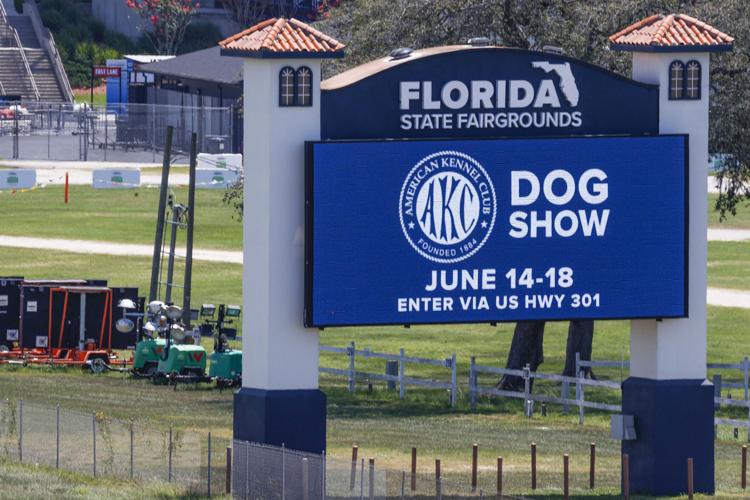 5 dogs killed in Tampa dog show fire at Florida State Fairgrounds