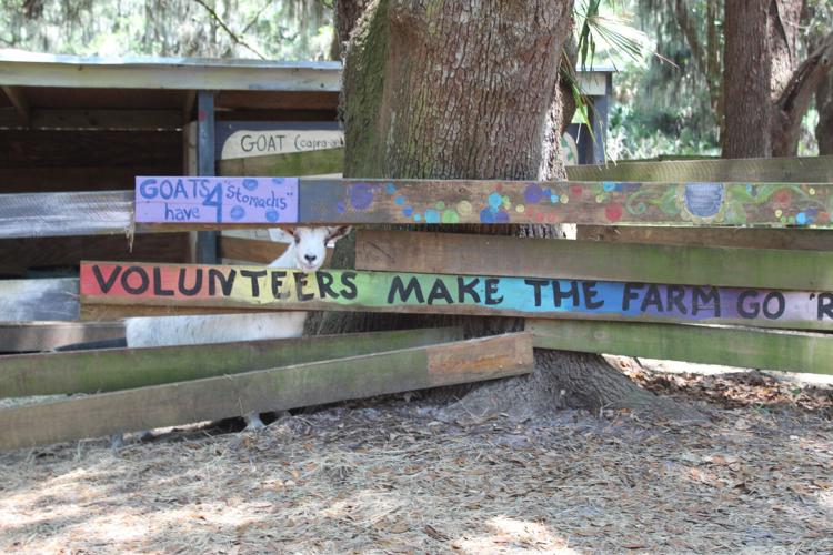 Farm at Oatland carries on mission Life