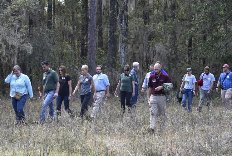 Nature Conservancy celebrates Altama Plantation WMA Local News