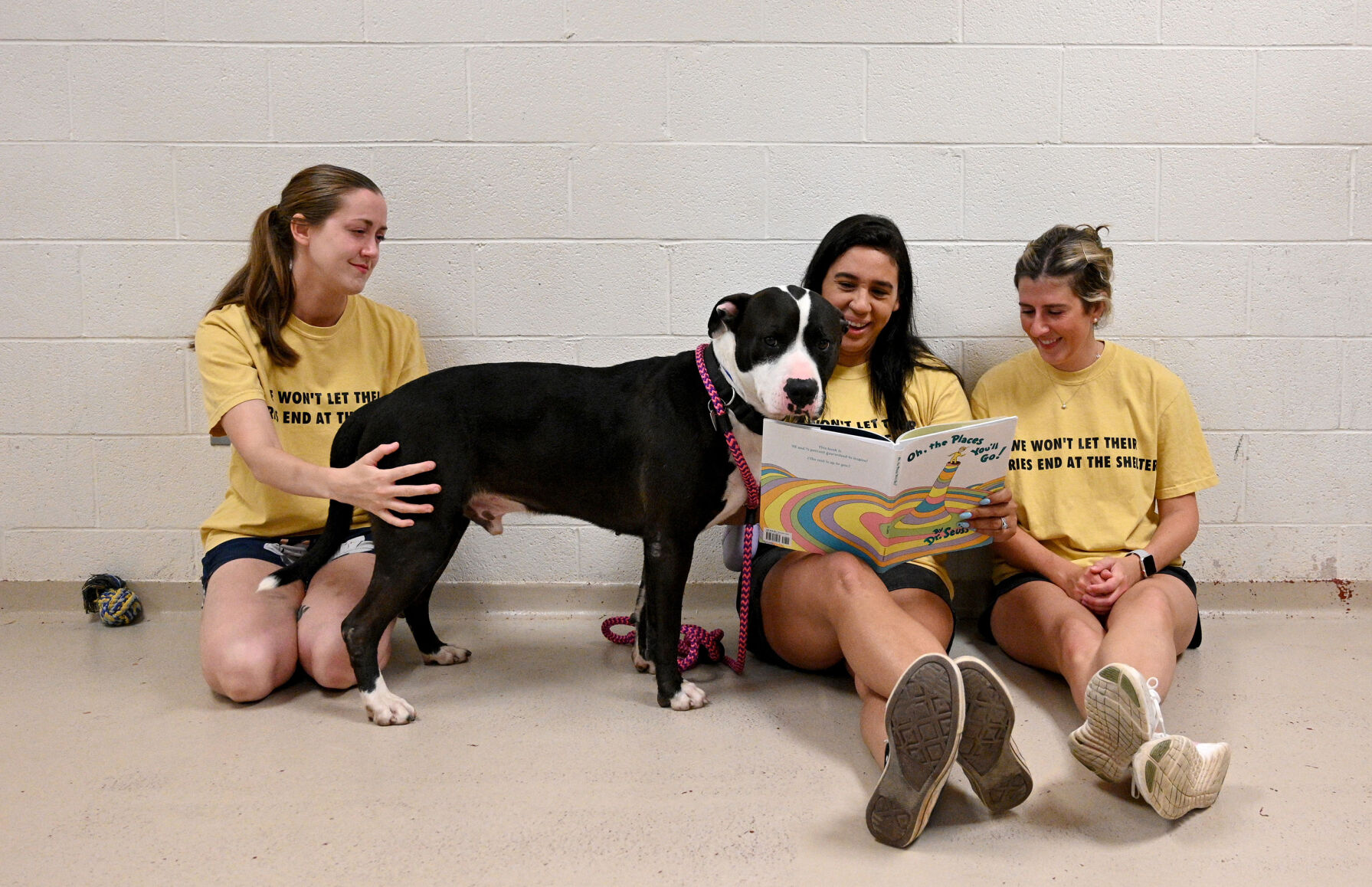 Volunteers find a novel way to help shelter dogs | News ...