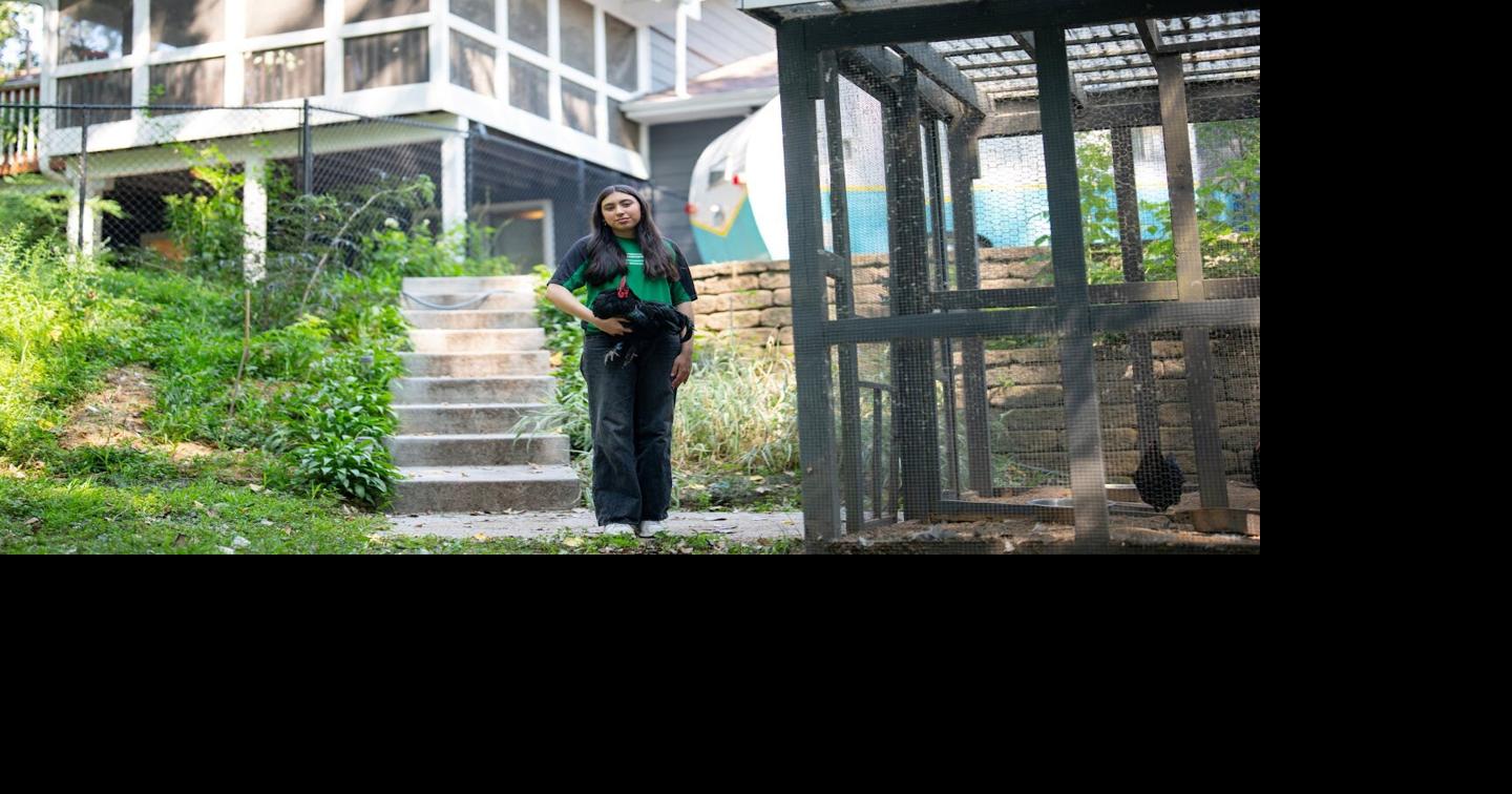 A Twin Cities teen pursued State Fair poultry glory. Hundreds of rural birds stood in her way Victor Stefanescu, The Minnesota Star Tribune Sep 9, 2026 28 mins ago