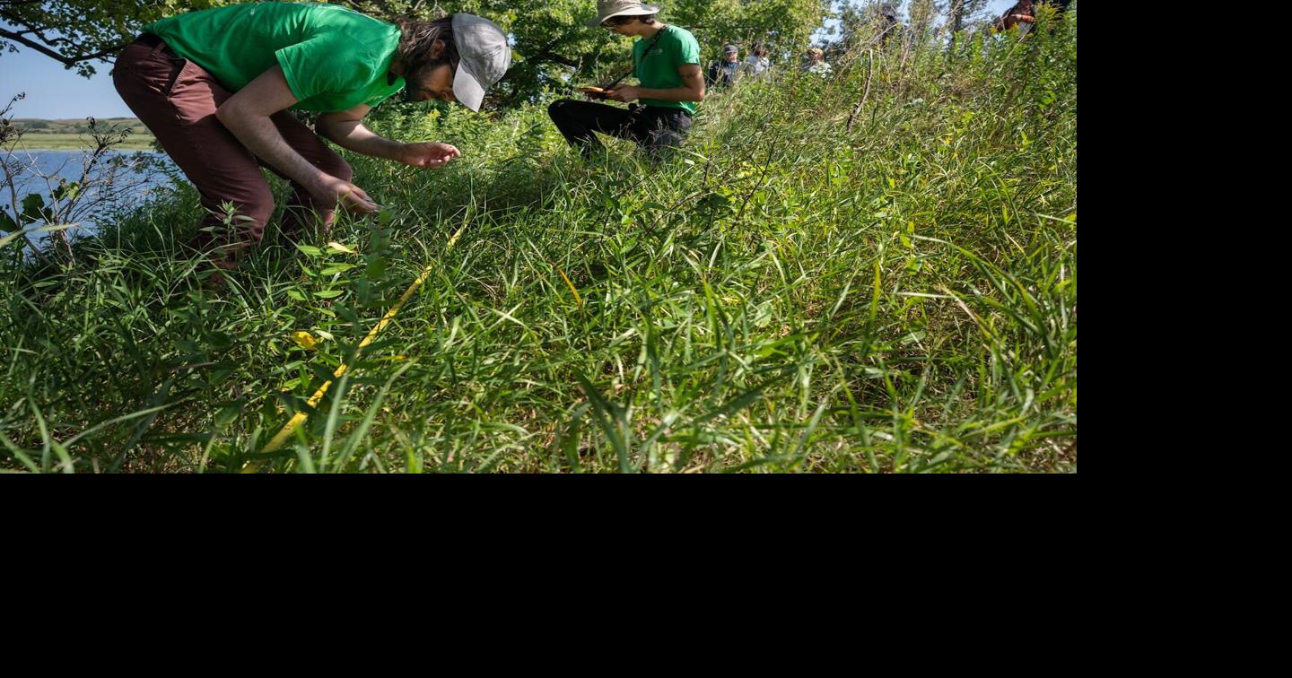 To bring a prairie back to life, burn it Greg Stanley, The Minnesota Star Tribune Sep 7, 2026 23 mins ago