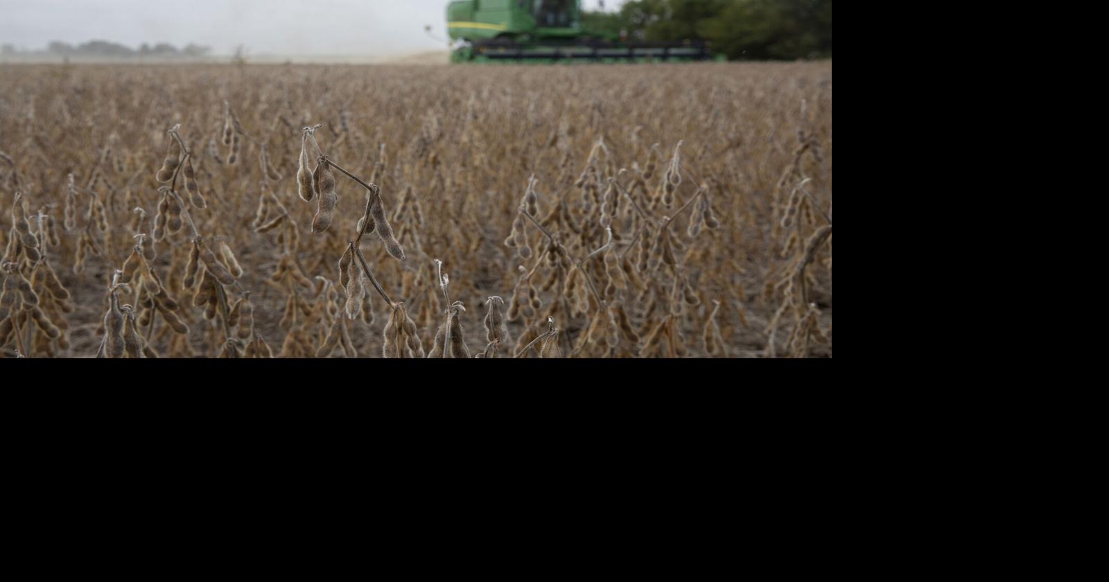 Trump to unveil $12 billion in long-awaited farm aid program Skylar Woodhouse and Gerson Freitas Jr., Bloomberg News Dec 8, 2025 19 mins ago