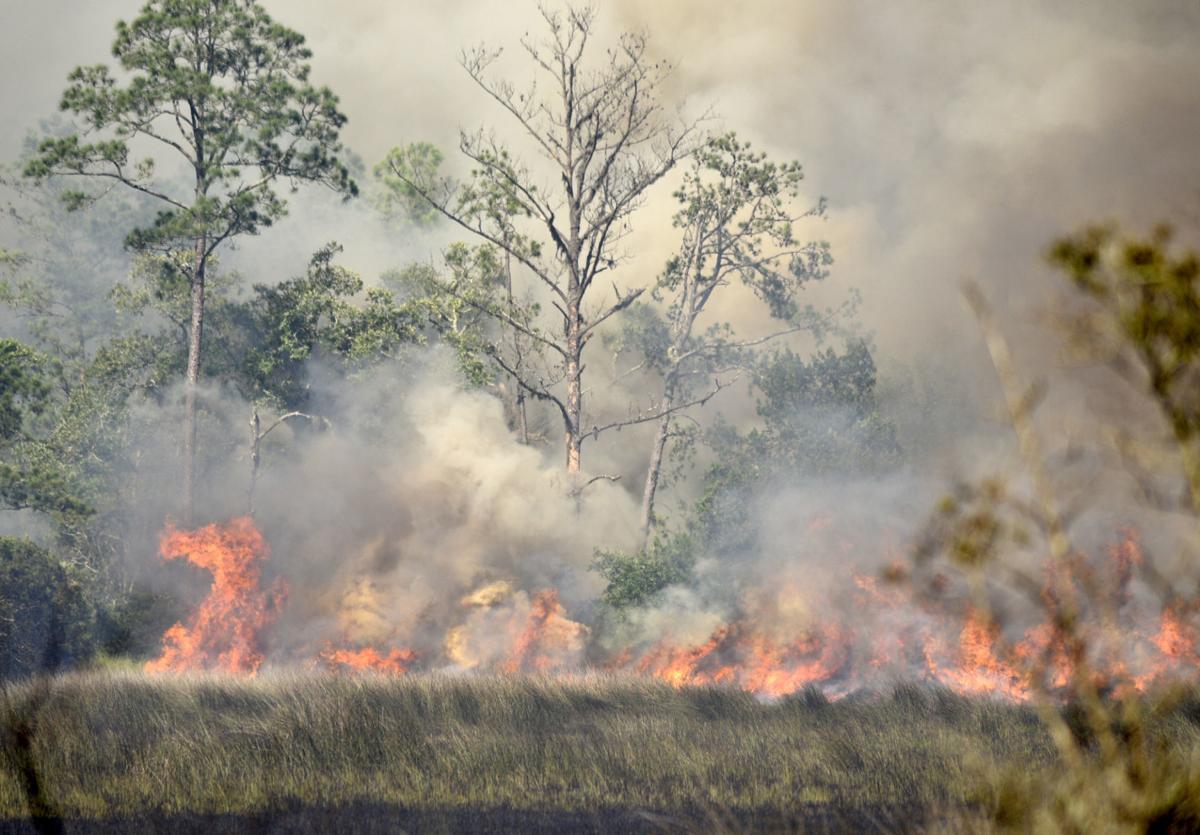 Marsh Fire Burns Bridge At Island Golf Course Local News The