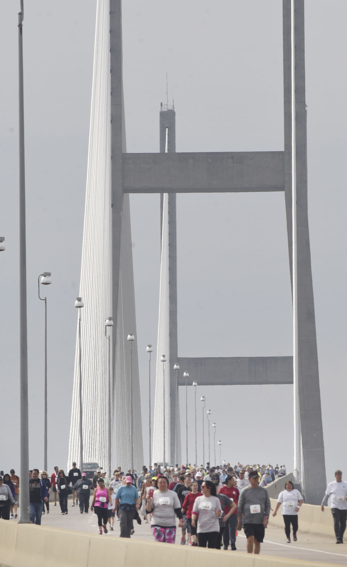 Bridge Run